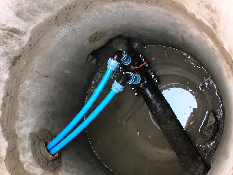 ИП Сушкевич