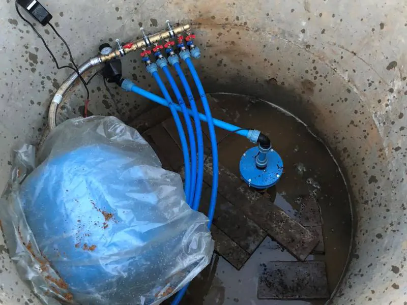 ИП Сушкевич