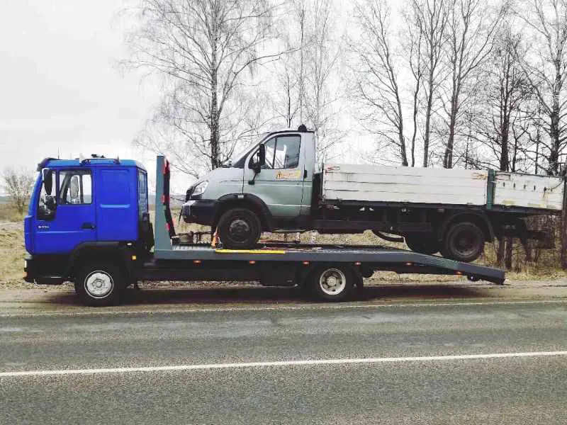 ИП Тимошенко