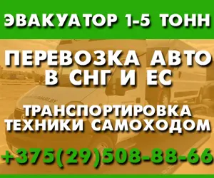 ООО Кумари