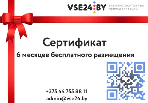 6 месяцев