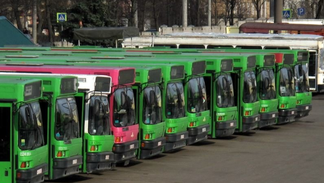 автобусы