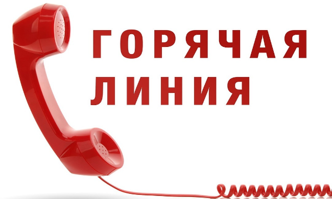 горячая линия