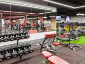 IRON FITNESS