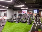 IRON FITNESS