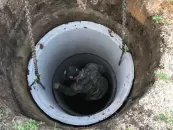 ИП Сушкевич