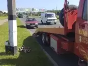 ИП Орлов