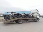 ИП Януш