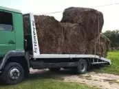 ИП Рудак